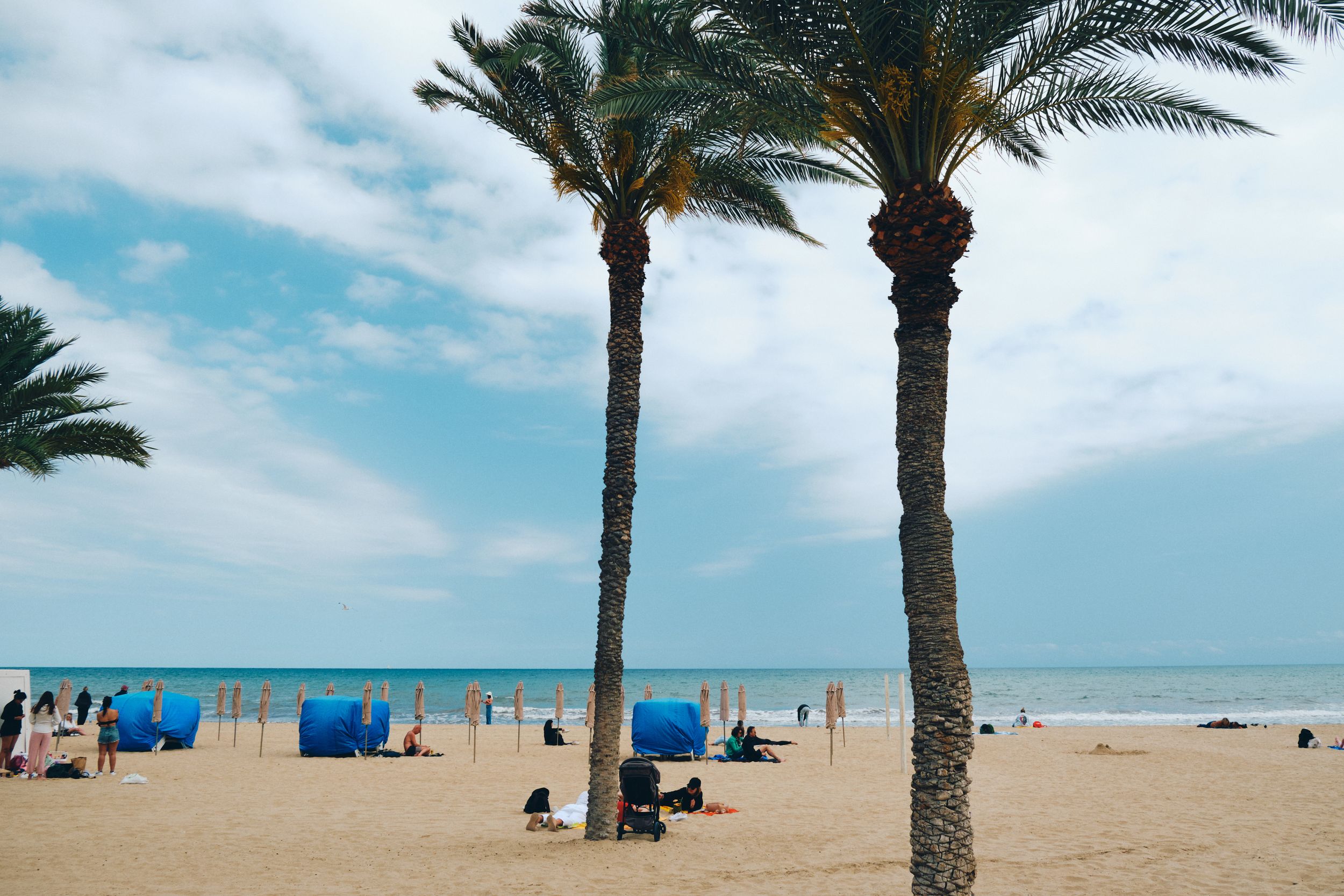Tranquil beach scene with palm trees framing blue umbrellas and ocean views.