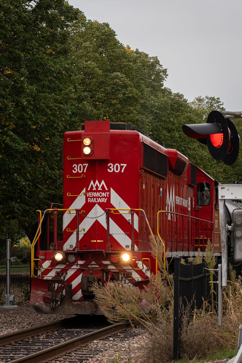 Red Vermont Railway locomotive number 307 approaching a railroad crossing signal.