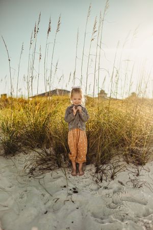 Tall sea grass growing on sand dunes during golden hour.