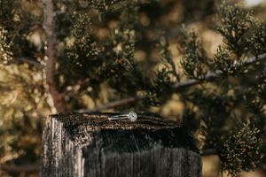 Franklin County photographer, Missouri photographer, STL photography, candid details, family, portraits near me, photography near me.