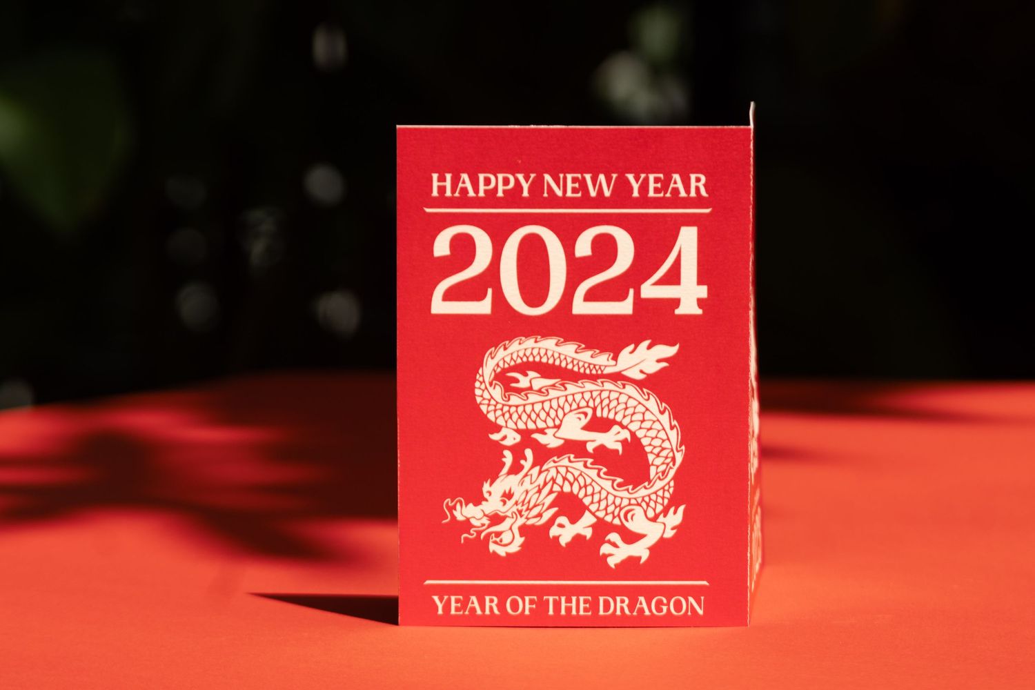 Chinese New Year Paper Cutout 2024 5