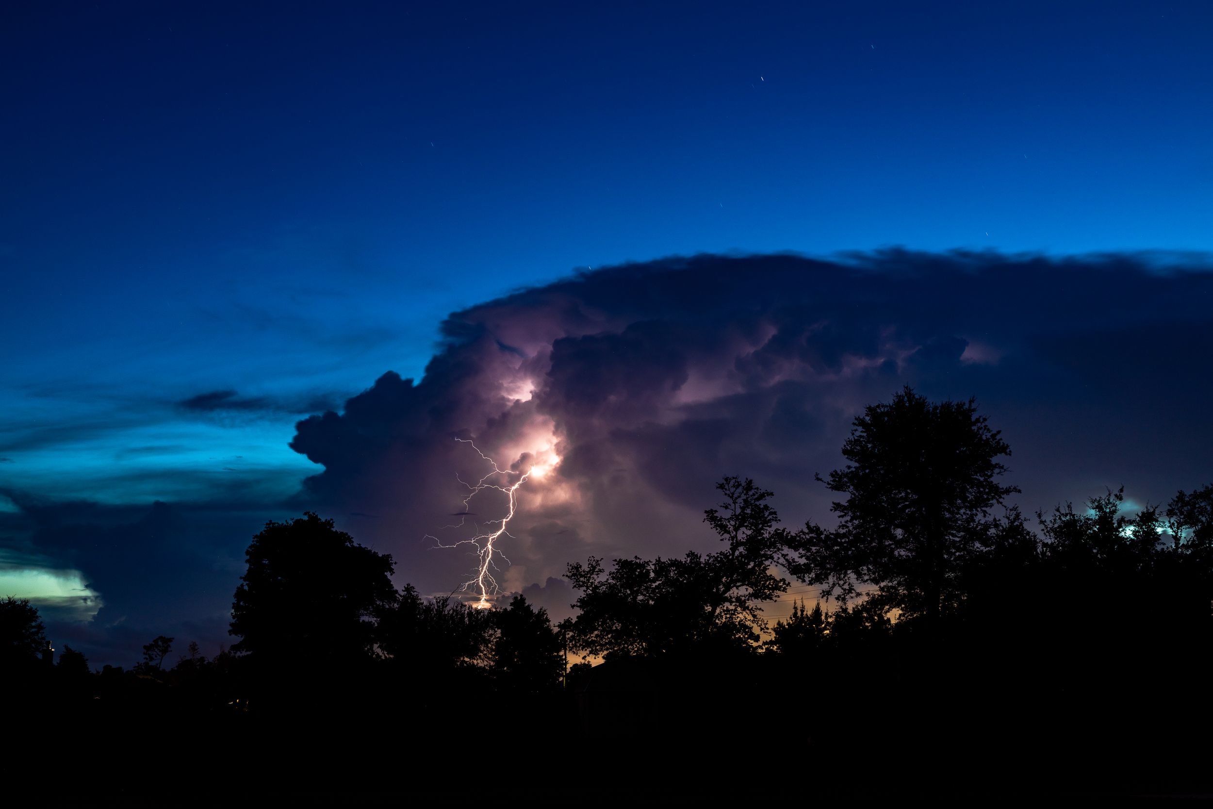 Travel Photographer in Panama City Florida. Nature photos in the Florida Panhandle: Beaches, Bayou, Natural Springs, Skies, Plants, and more