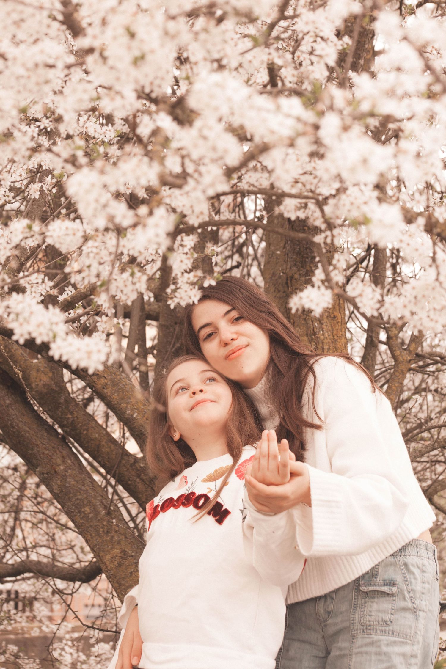 ragazze adolescenti, sorelle sotto albero pesco, albero ciliegio, fiori bianchi bellissimi, sessione di primavera
