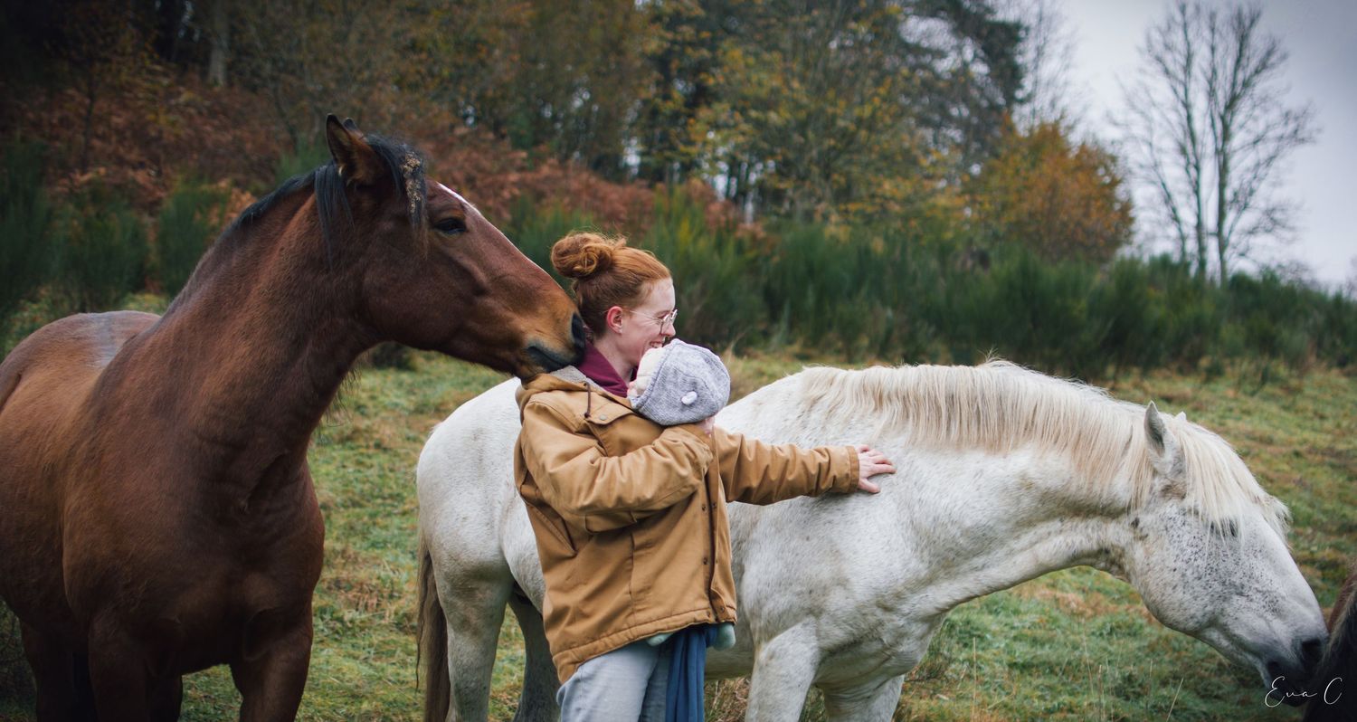 chevaux, humain