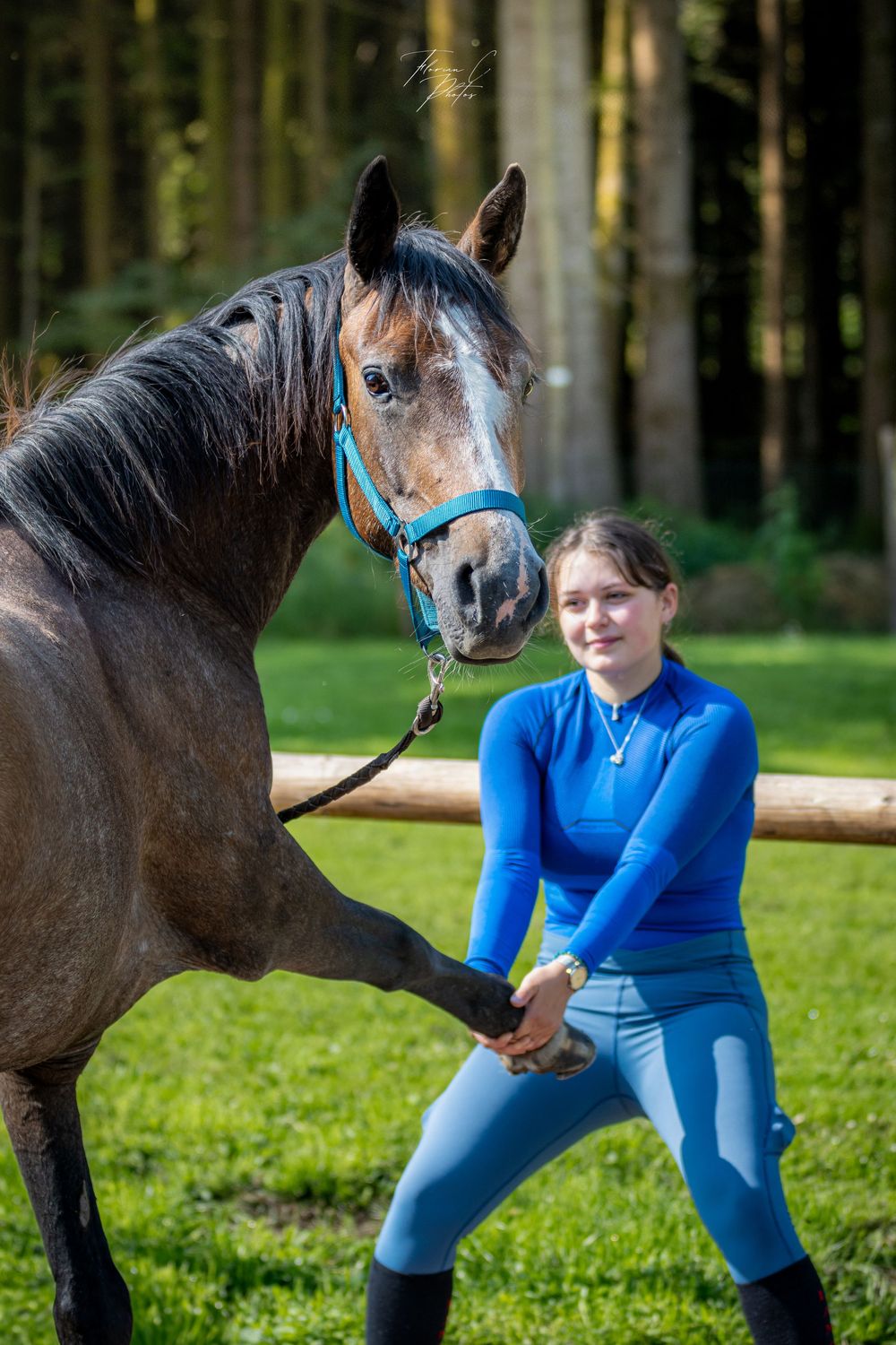 Stretching / cheval / bien-être