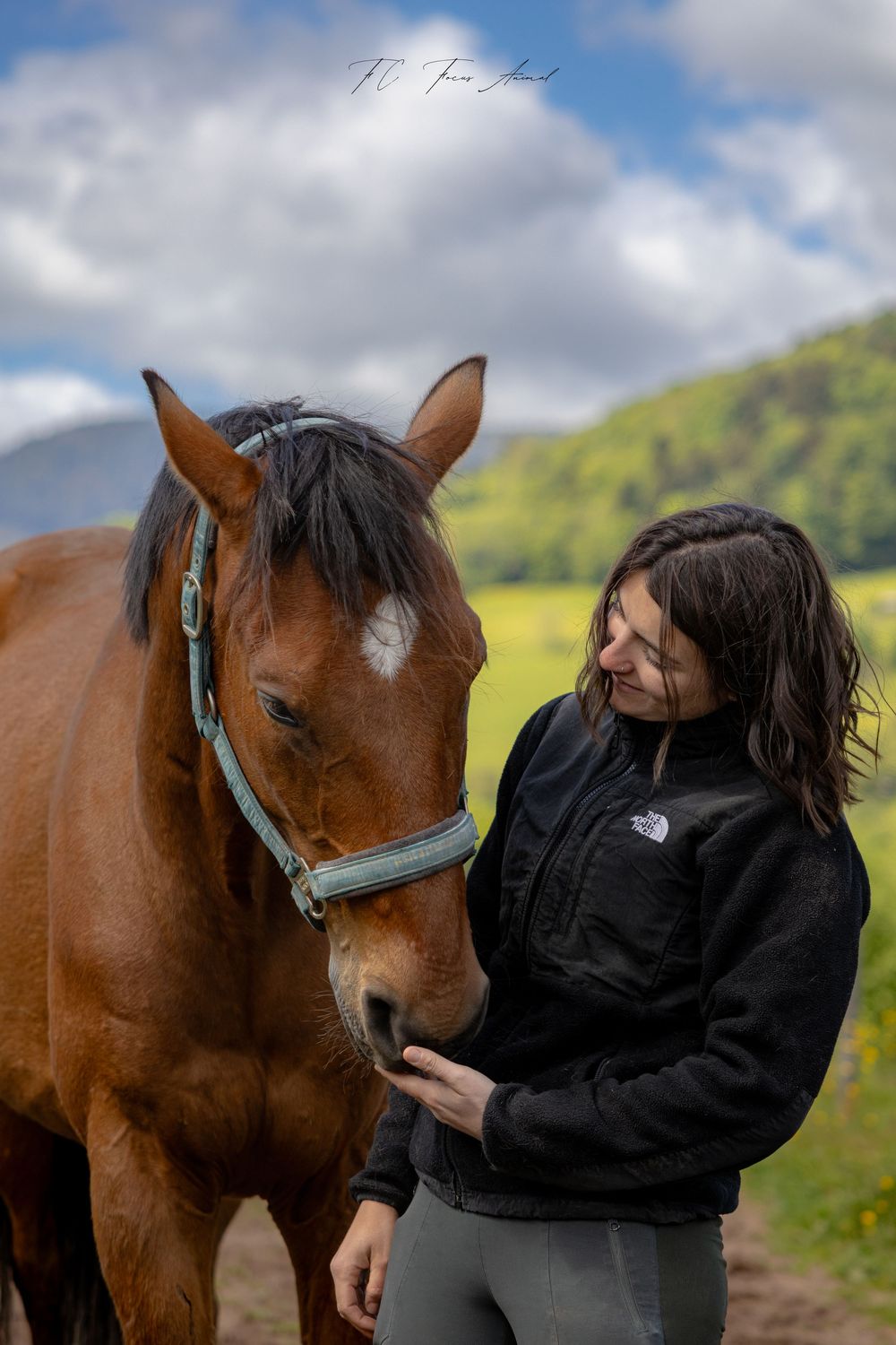 Cheval / Lien animal / bien-être animal / Alsace / Nature
