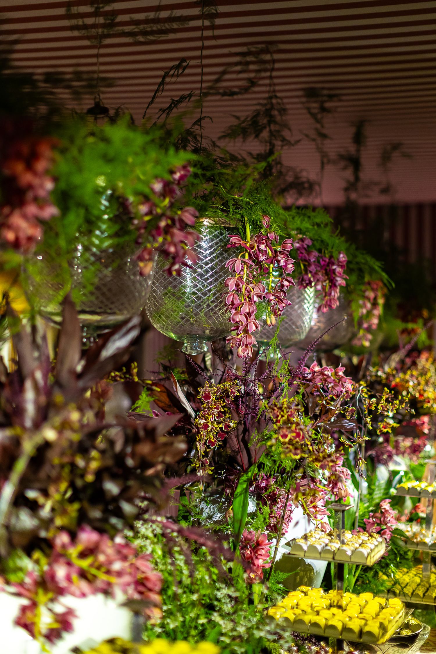 Colorful garden display featuring pink and yellow flowers with green foliage illuminated by dramatic lighting.