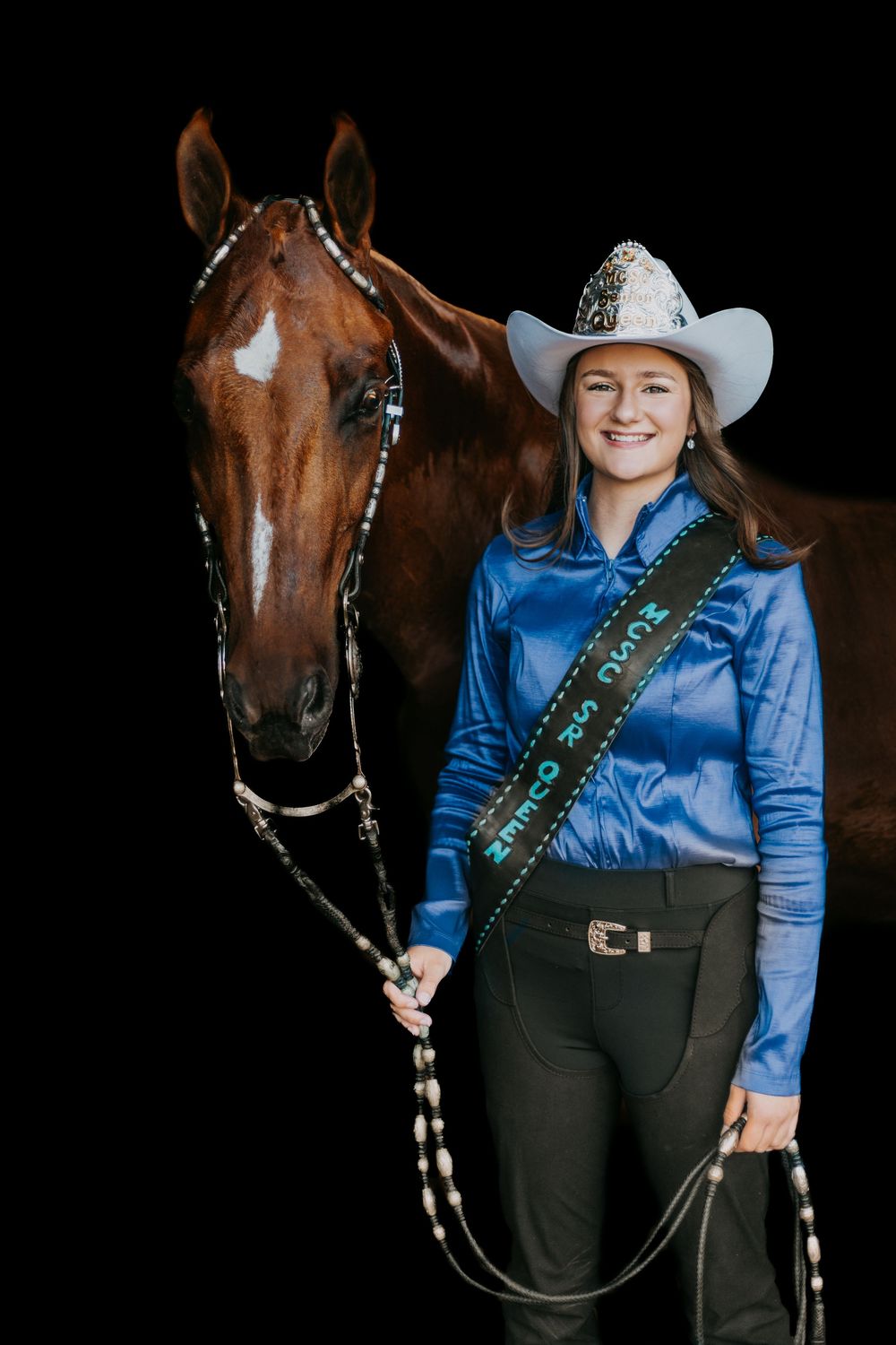 Western equestrian stands with a beautiful brown horse wearing a blue shirt and cowboy hat against black background.