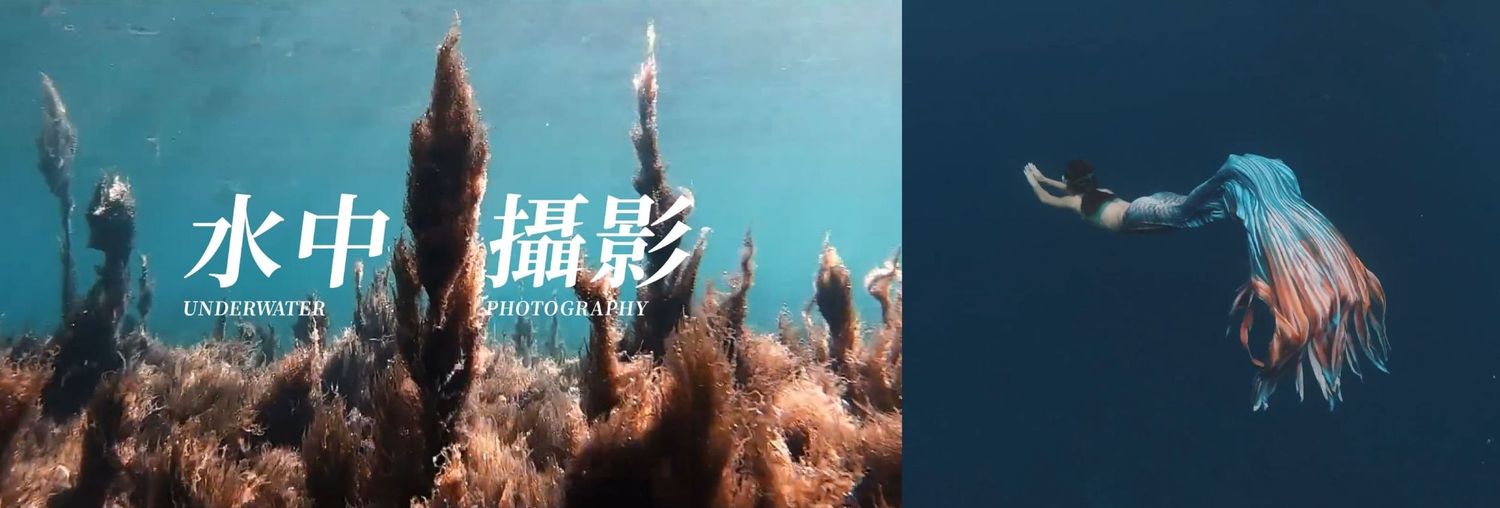 水中攝影作品