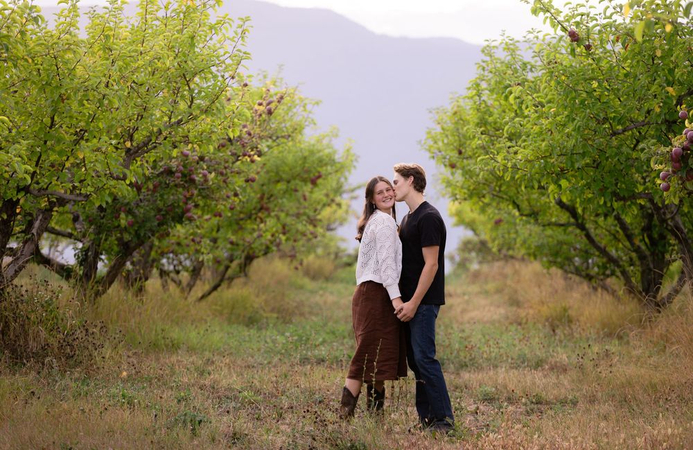 Kayleigh Seibel Photography - Salmon Arm BC - New Family Photos - Apple Orchard