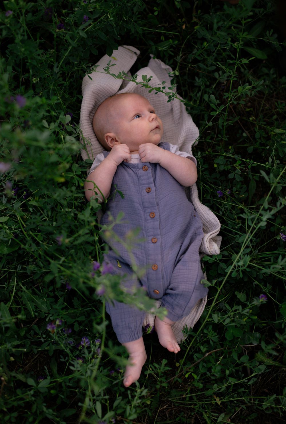 Kayleigh Seibel Photography - Salmon Arm BC - New Family Photos - Apple Orchard
