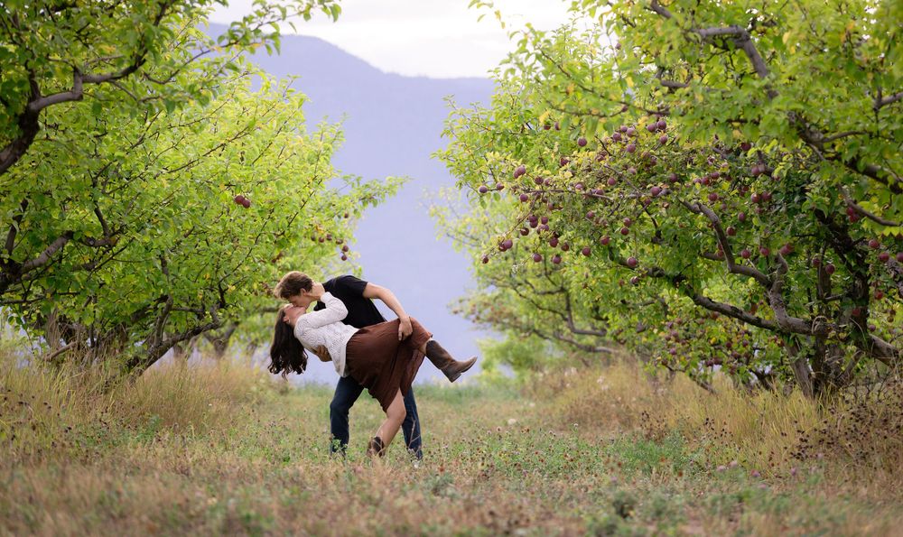 Kayleigh Seibel Photography - Salmon Arm BC - New Family Photos - Apple Orchard
