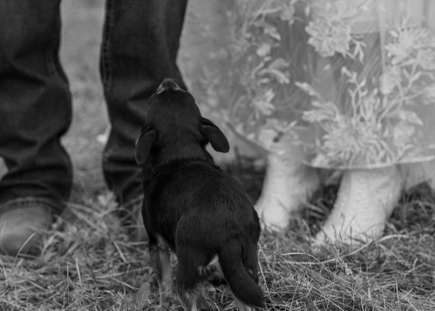 Wedding photography Arynn Jacy Photography