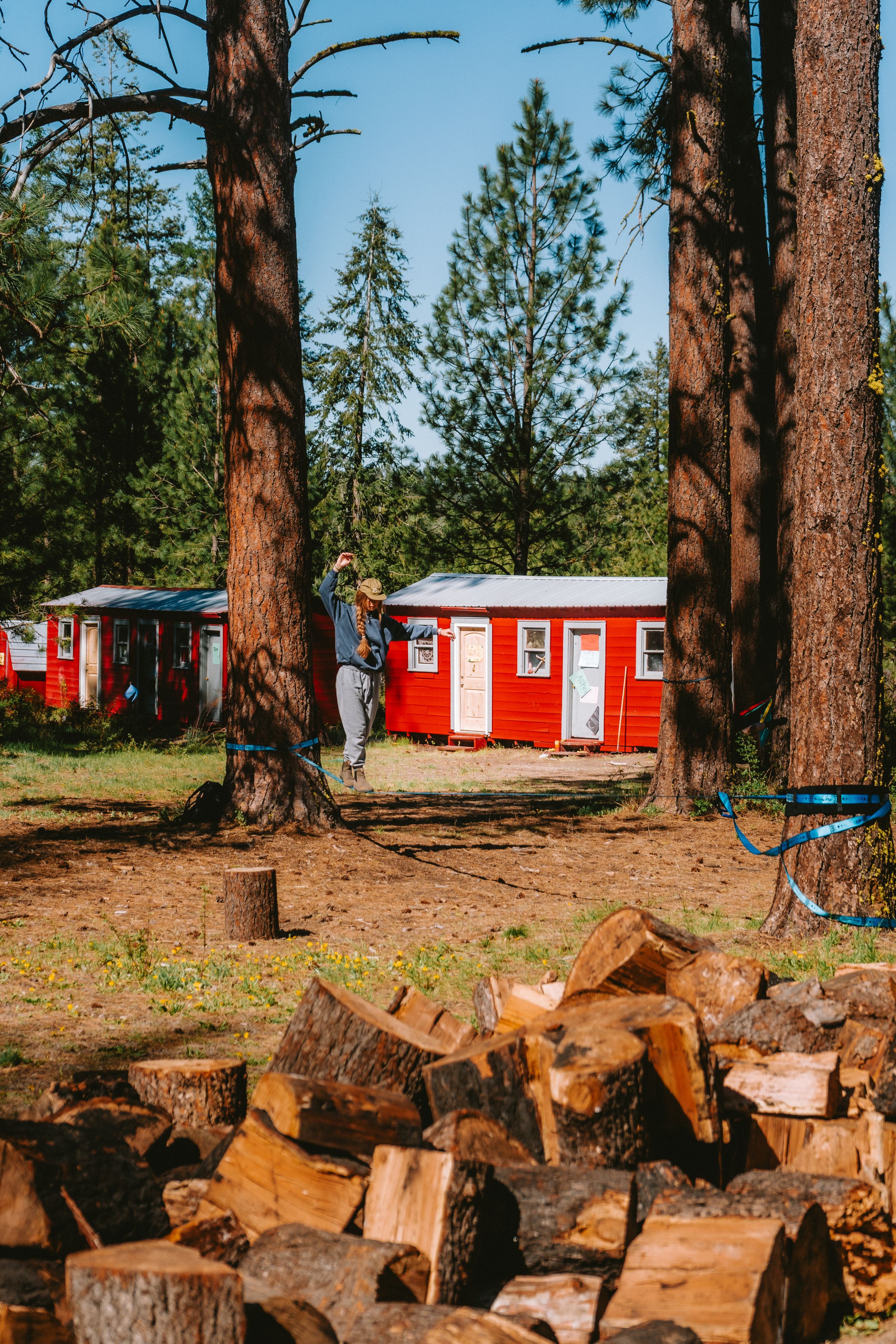 Red cabin buildings nestled among tall pine trees with firewood stacked in foreground.