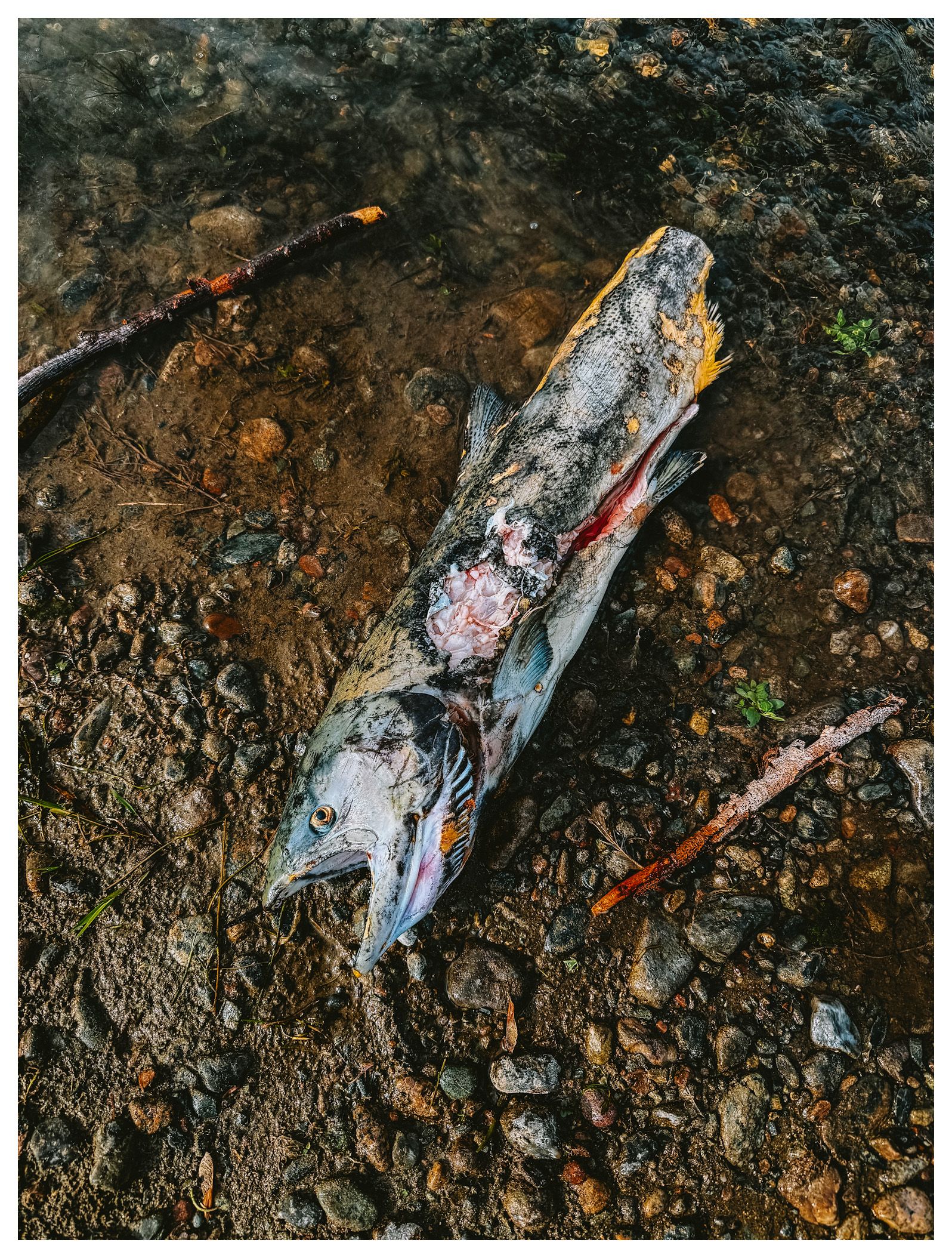 Discarded trash and debris scattered on dark rocky ground in close-up view.