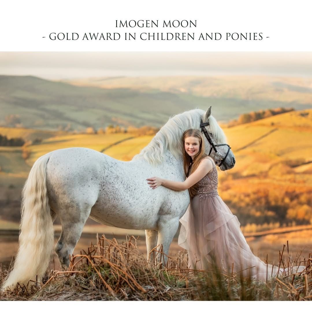 A white horse and companion pose together against rolling golden hills at sunset.