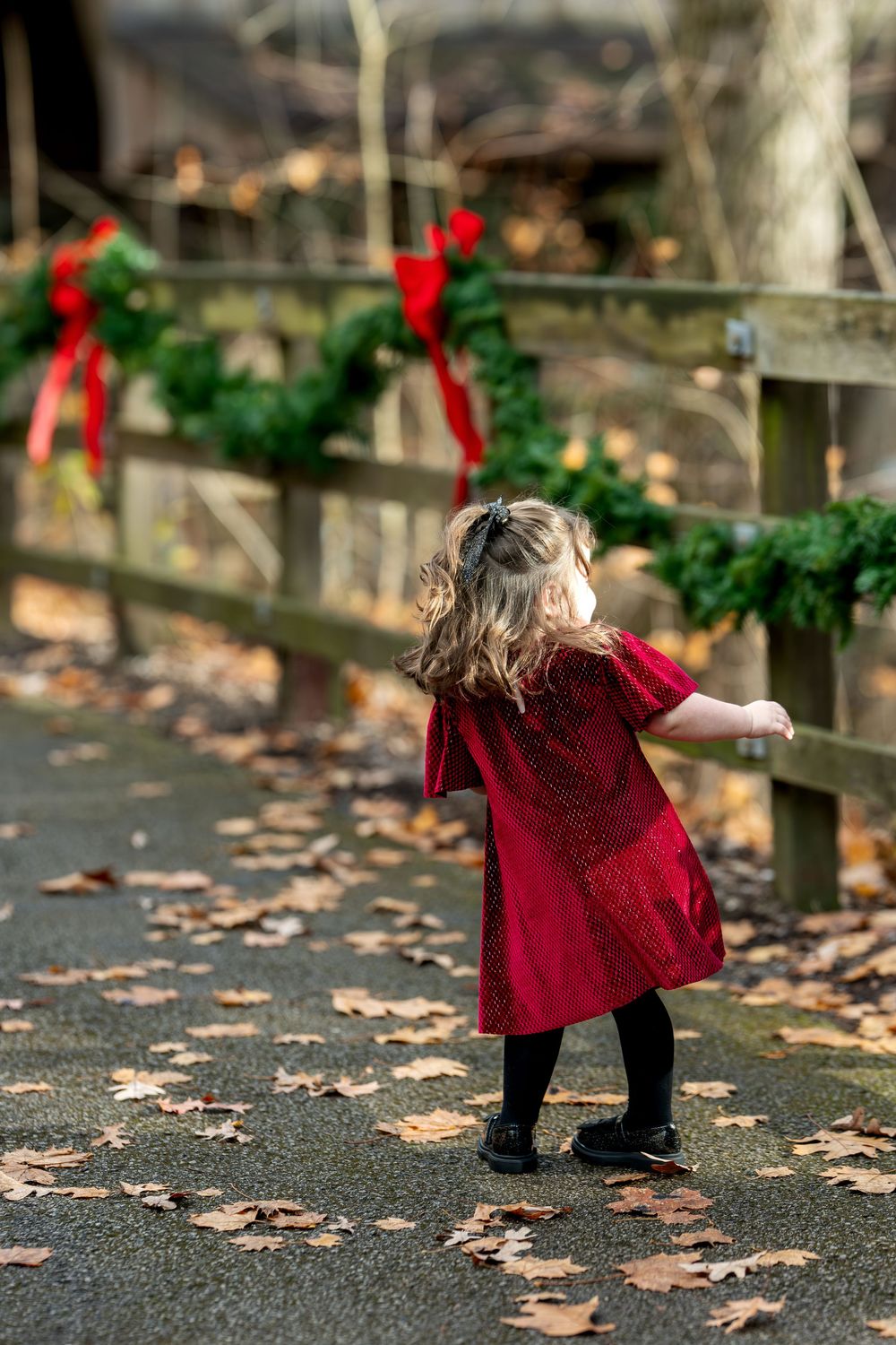 Toddler girl in red dress walks along path with Christmas wreaths on wooden fence in autumn park.