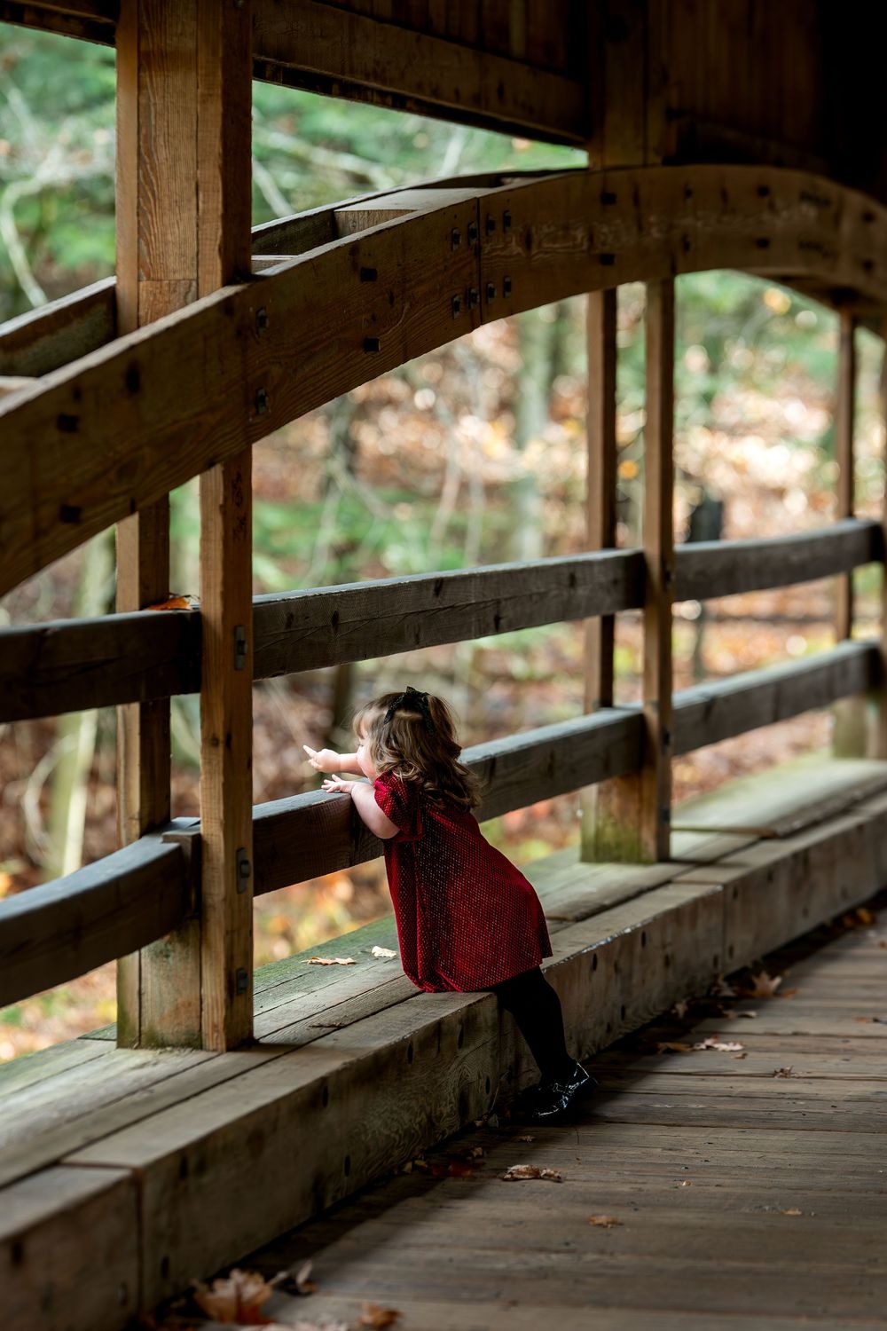 Little girl in red dress peers through railing of rustic wooden covered bridge in autumn forest.