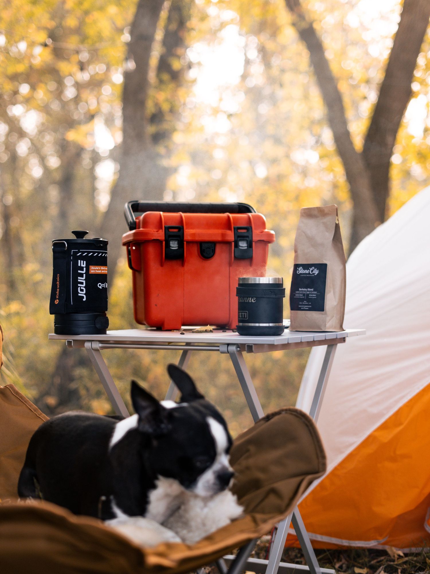 Camping setup with red cooler, coffee gear, and black and white dog relaxing by orange tent.