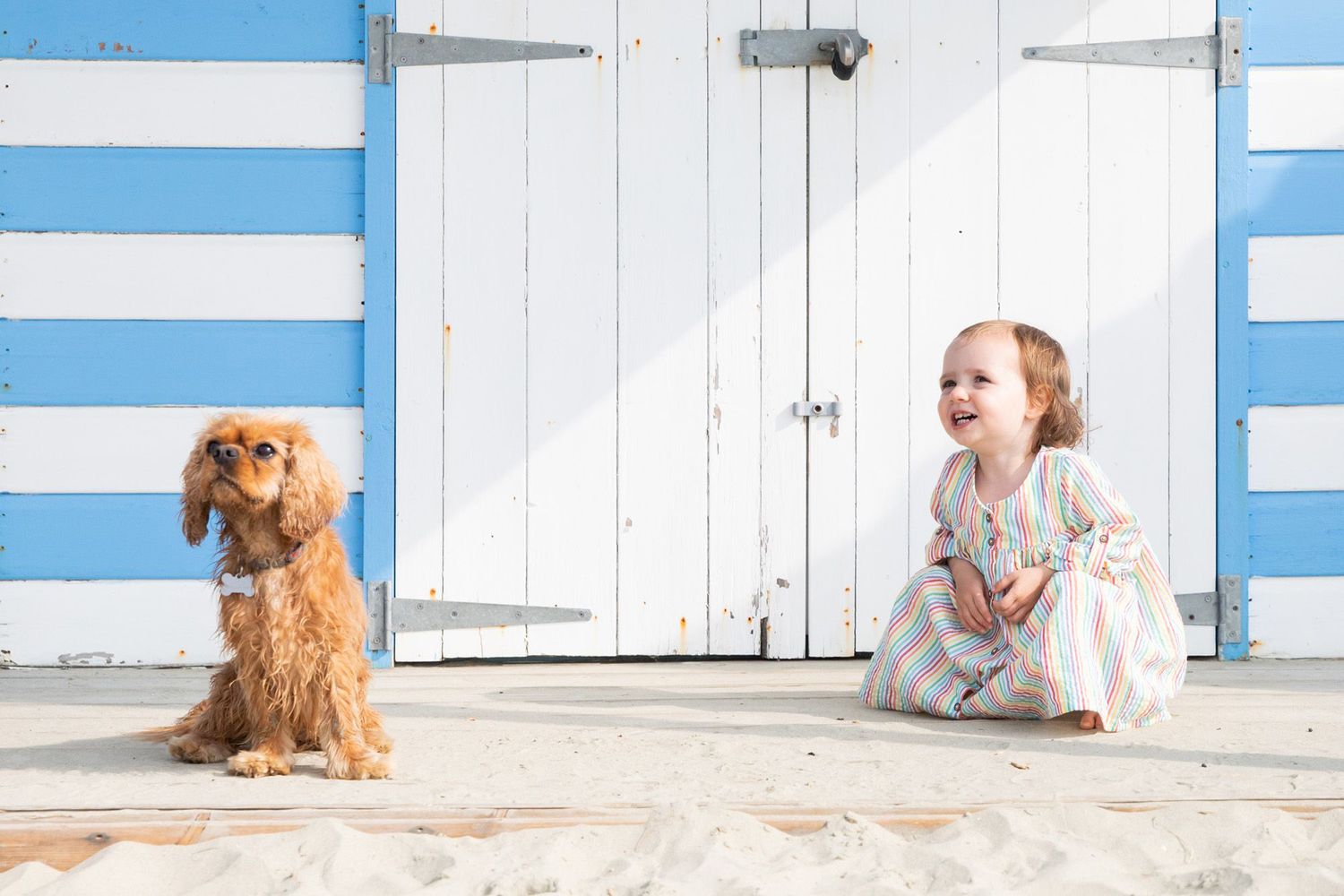 Young girl sitting by blue and white beach hut with golden retriever dog.