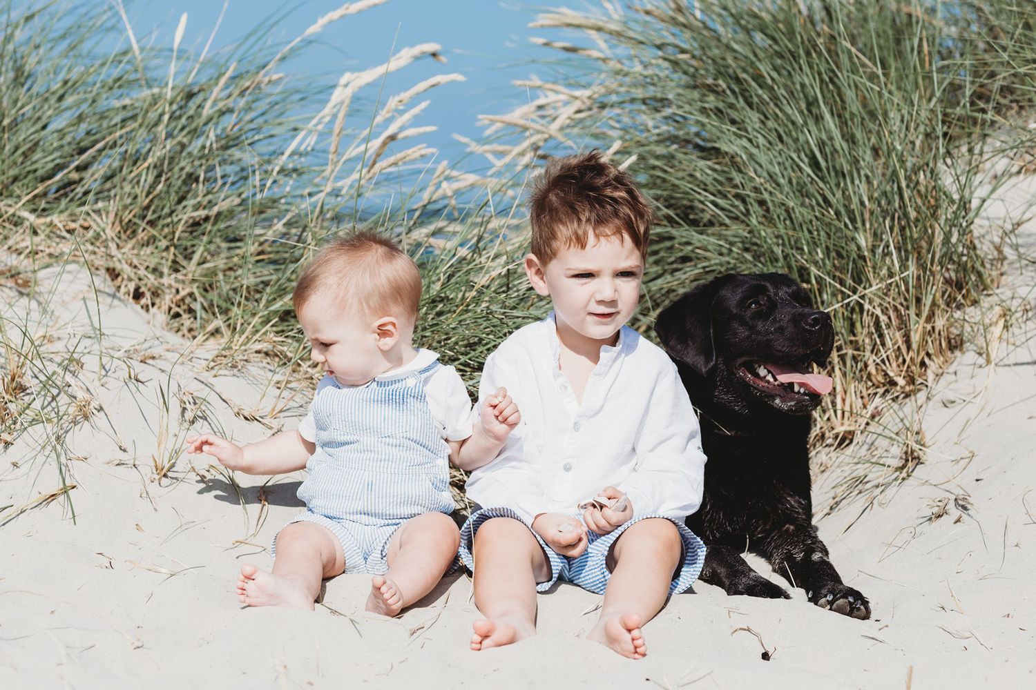 Two children sitting on beach sand with black dog among coastal grass.