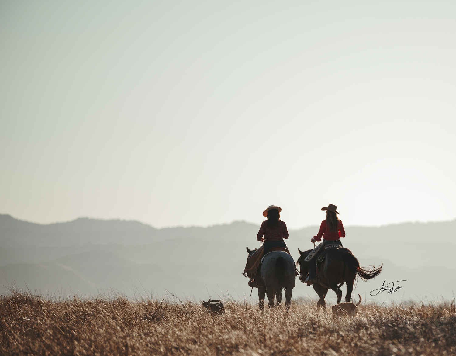 Silhouettes of two Cowgirls on horseback against mountain landscape at sunset.