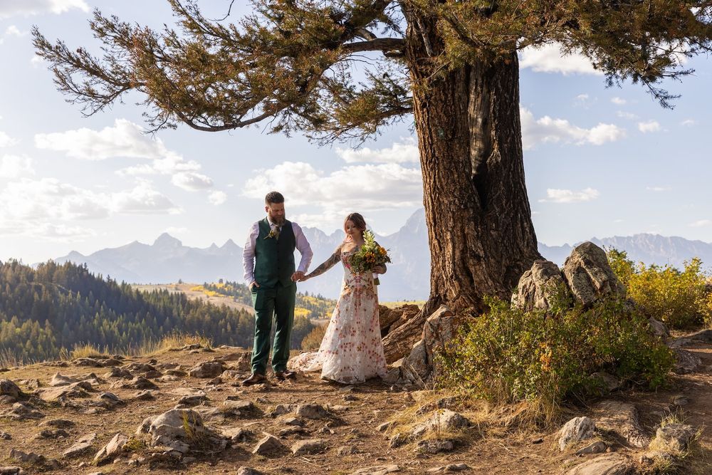 Wedding party gathers under a large pine tree with majestic mountain peaks in the background.