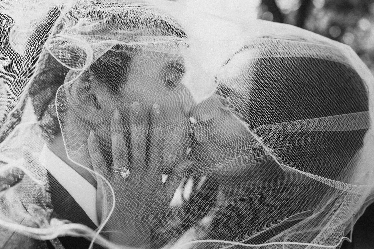 Dexter Michigan Wedding Photographer