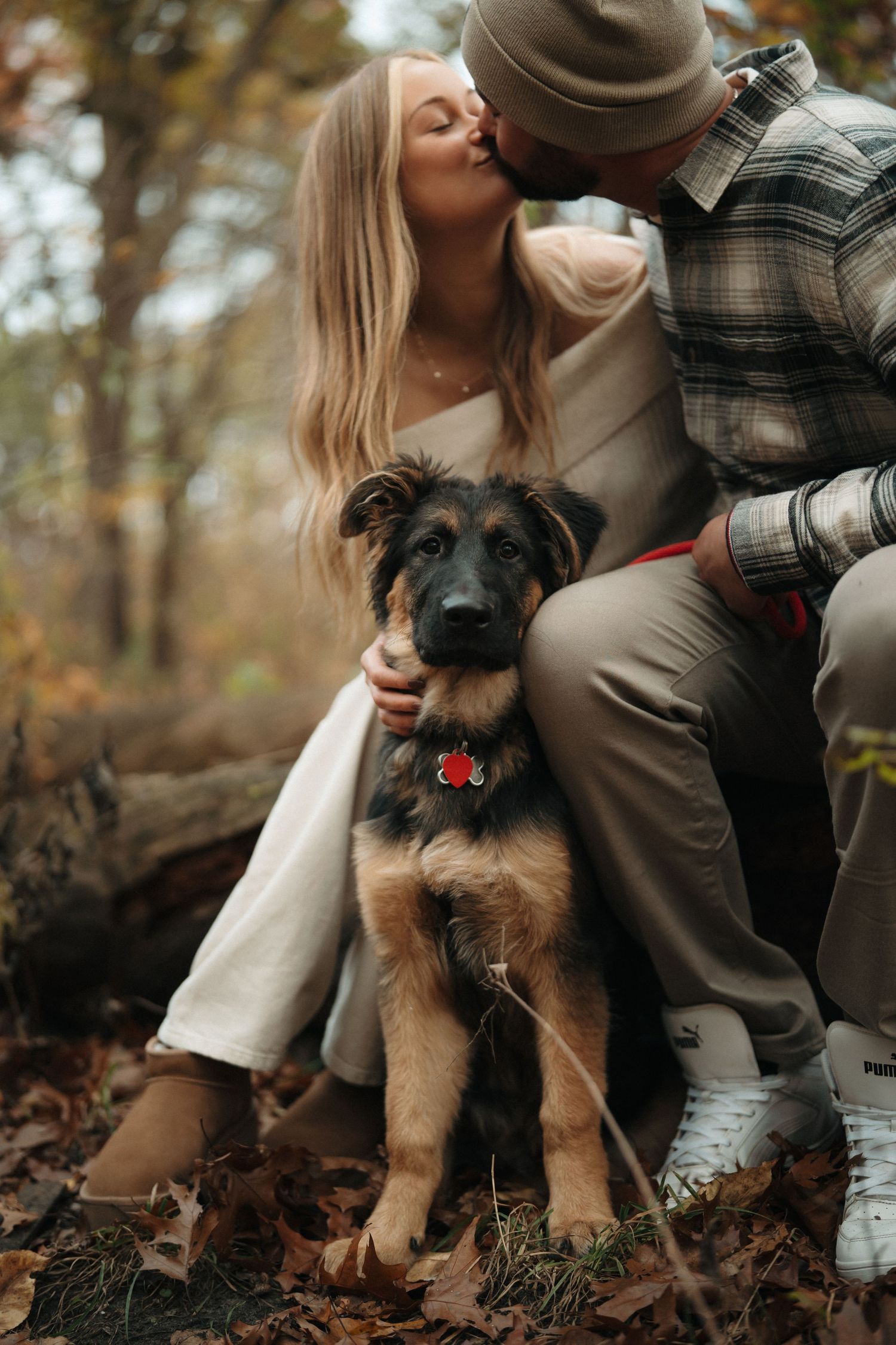 A German Shepherd puppy sits with a couple during an autumn outdoor photoshoot.