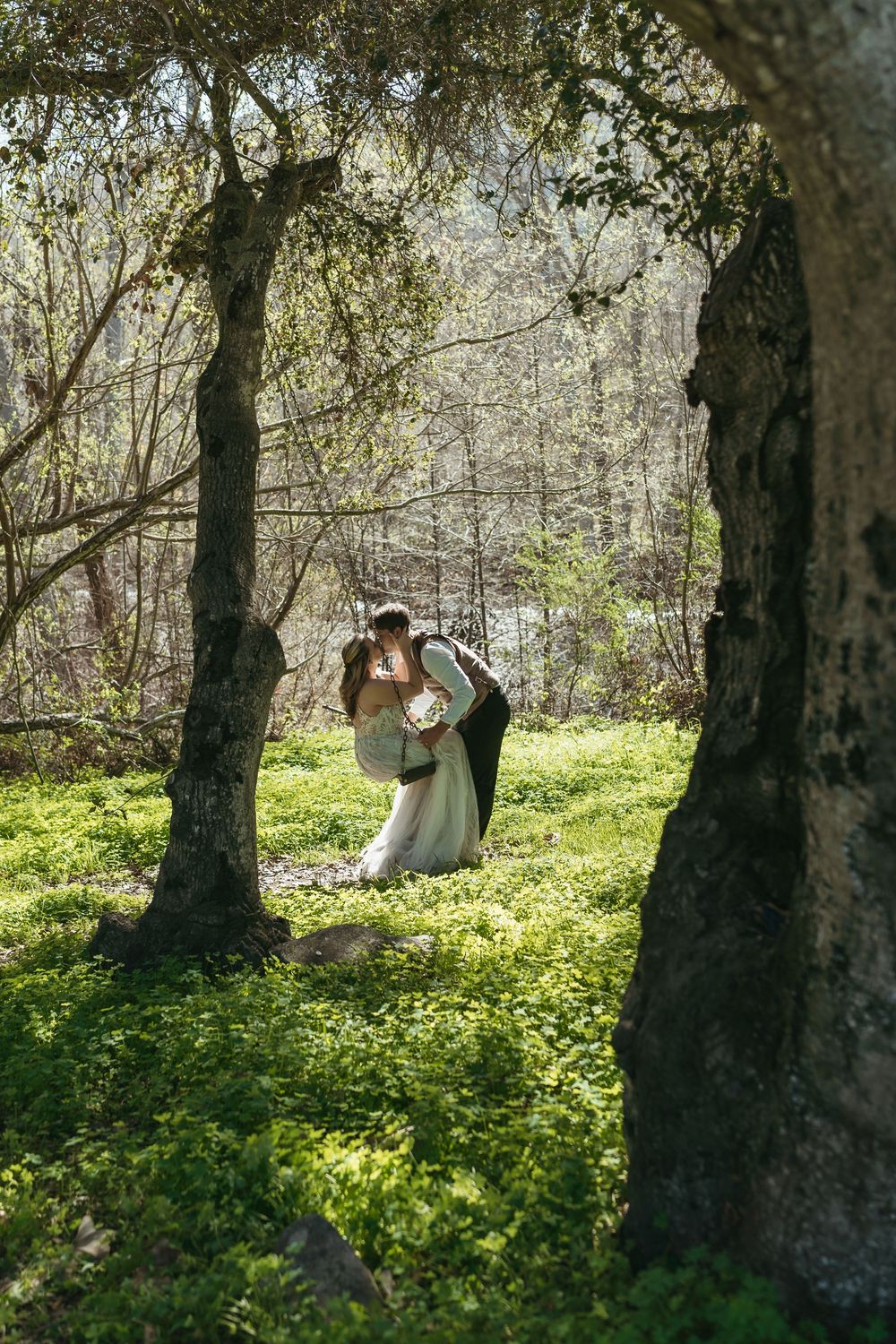 A series of four photos showing a couple sitting together in a sunlit forest grove with wildflowers and tall trees.