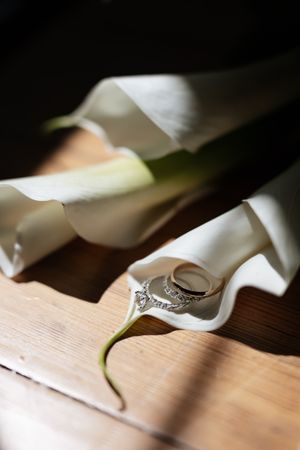 A white peace lily flower unfolds its delicate petals in a series of close-up macro shots showing progressive blooming stages.