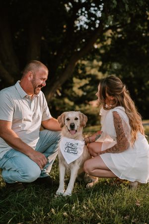 A couple sits on grass with their happy yellow Labrador retriever during a sunny outdoor photoshoot.