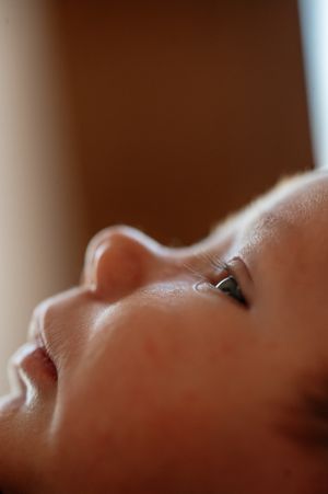 Close-up profile silhouette showing facial features in warm lighting against a dark brown background.