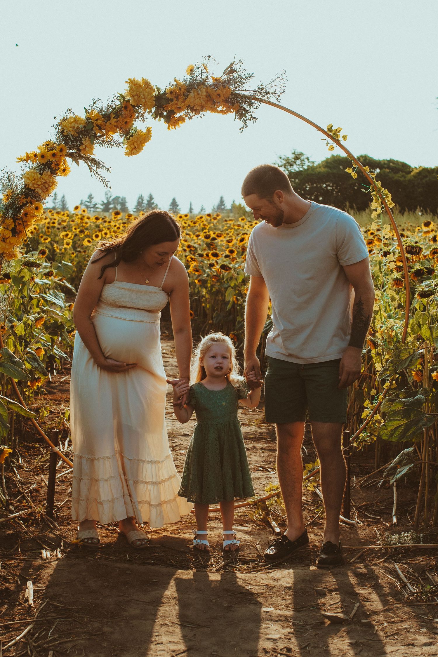 A family of four shares tender moments together in a golden sunflower field at sunset.