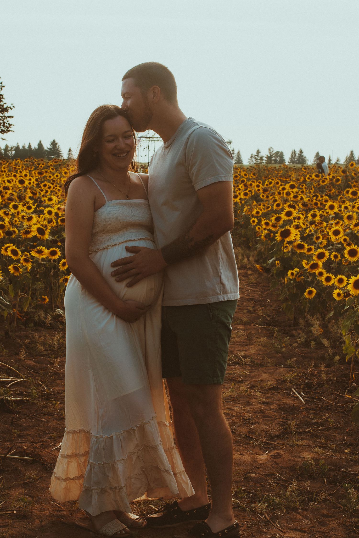 A couple shares a tender moment together in a vibrant sunflower field during golden hour.