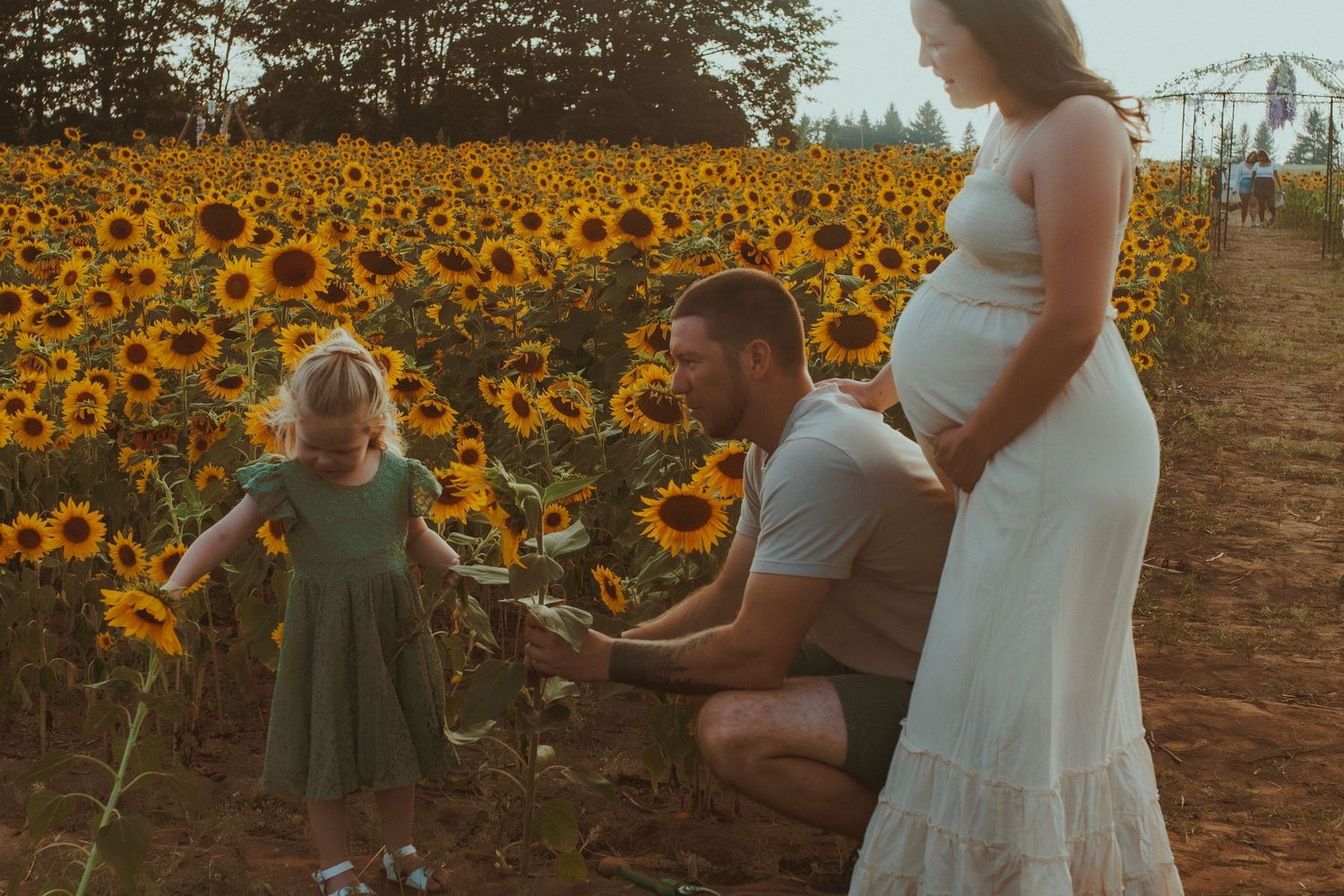 A couple dressed in white poses for photos in a blooming sunflower field during golden hour.