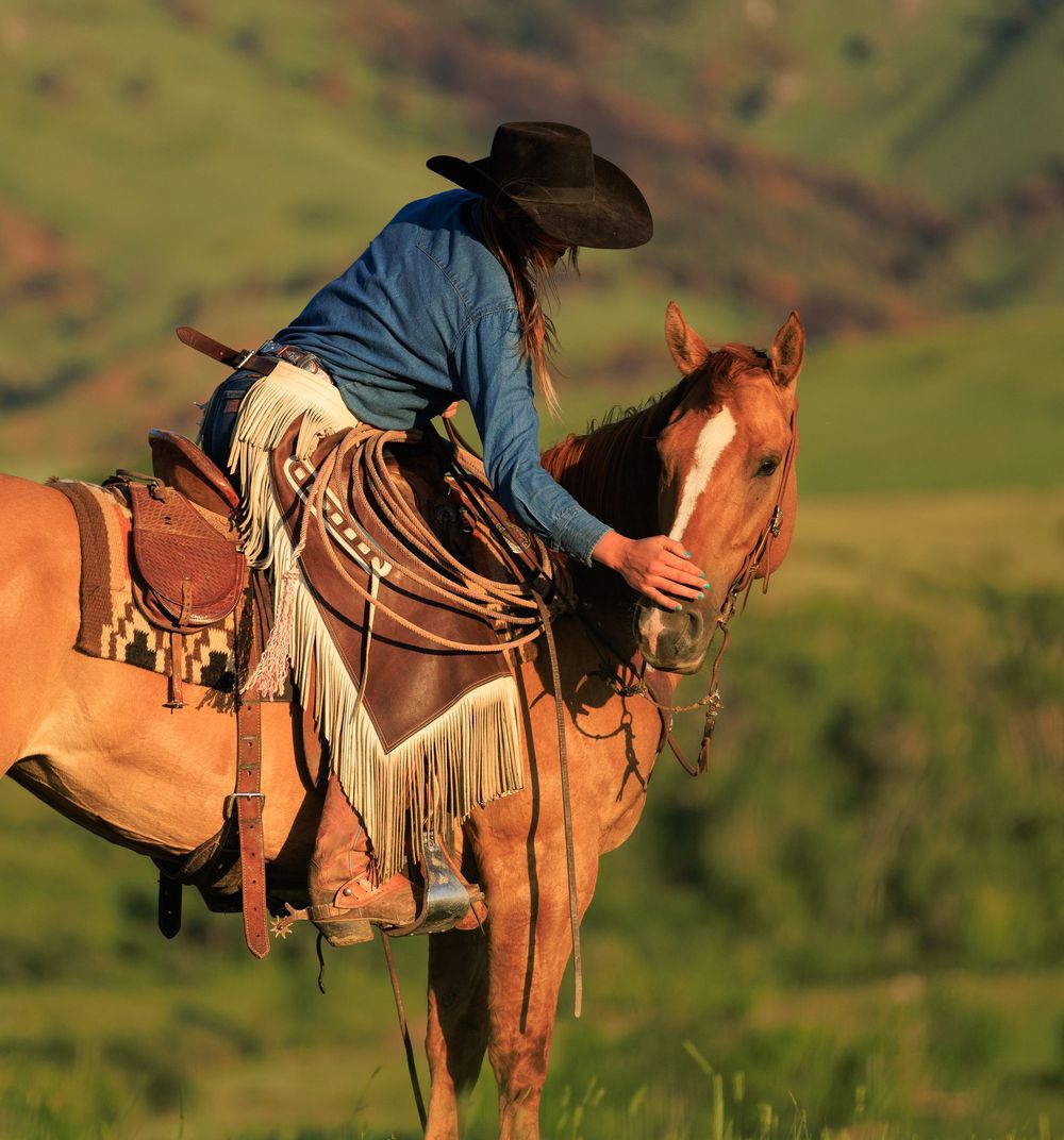 Western saddle and tack details on horseback against green hillside.