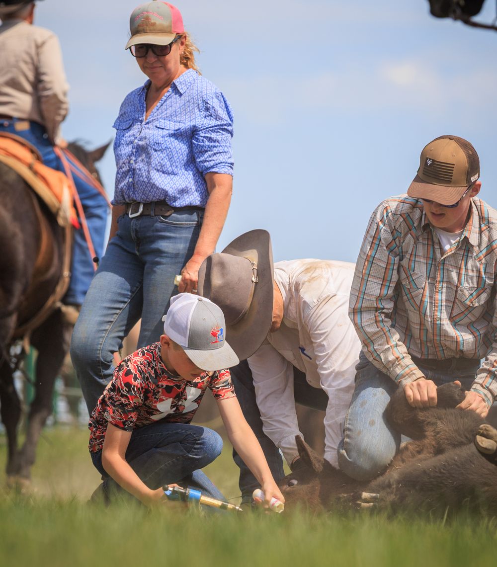 People crouched down in a field examining something on the ground during an outdoor activity.