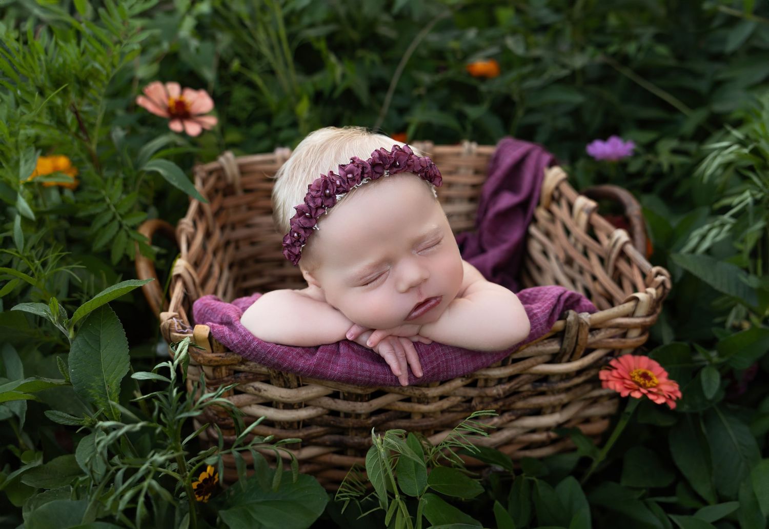 Newborn Photographer
Cake Smash Photographer
Maternity Photographer
Kentucky Photographer
Richmond Kentucky 
Berea kentucky
Lexington KY