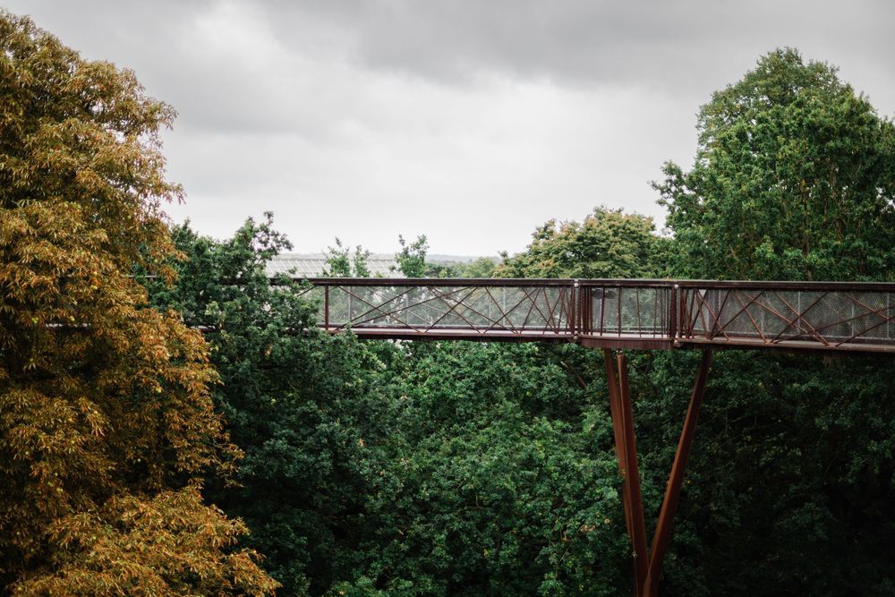 A swing set structure stands empty against a backdrop of lush green trees and autumn foliage.