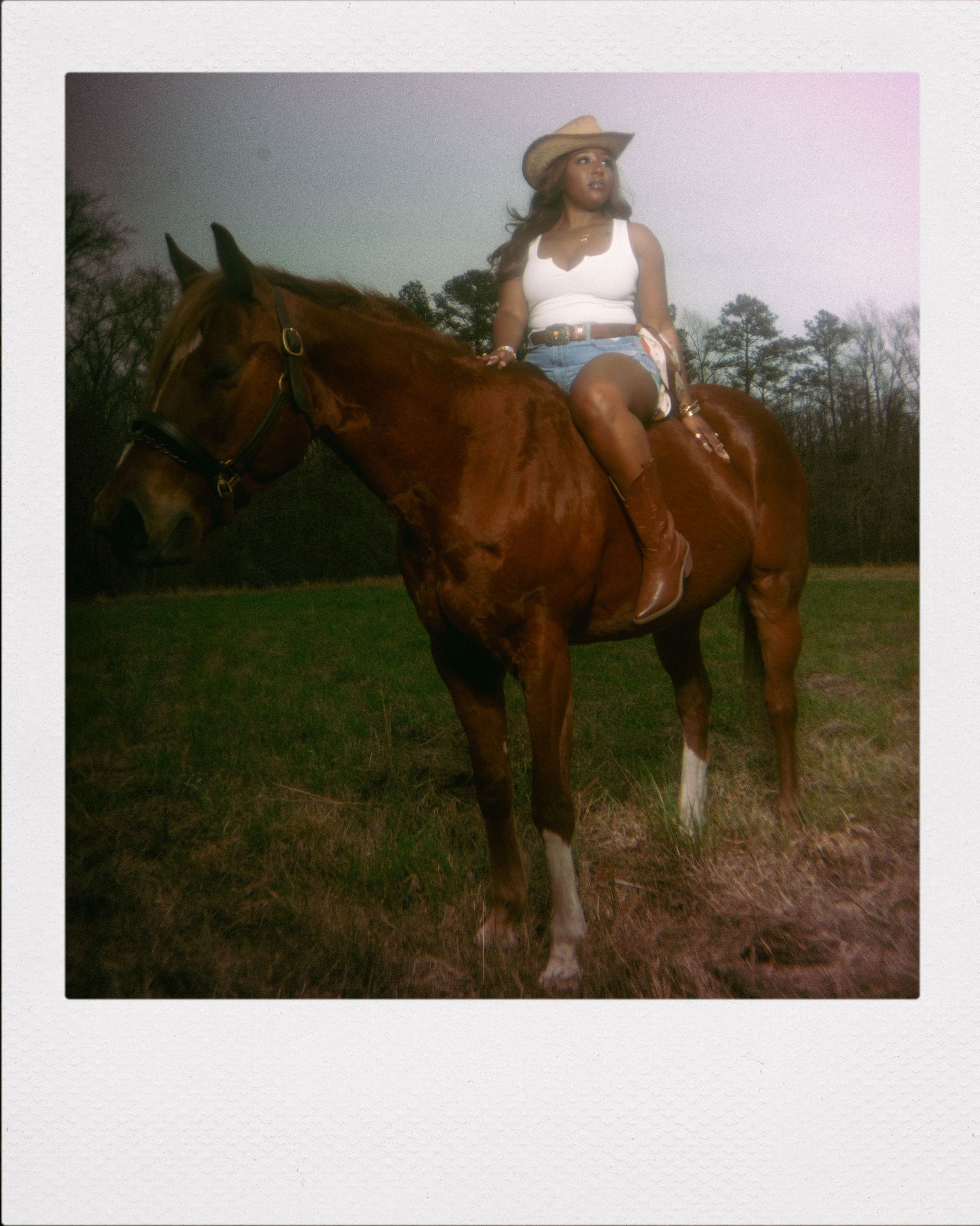 A series of vintage photographs showing a brown horse and rider in a rural setting.