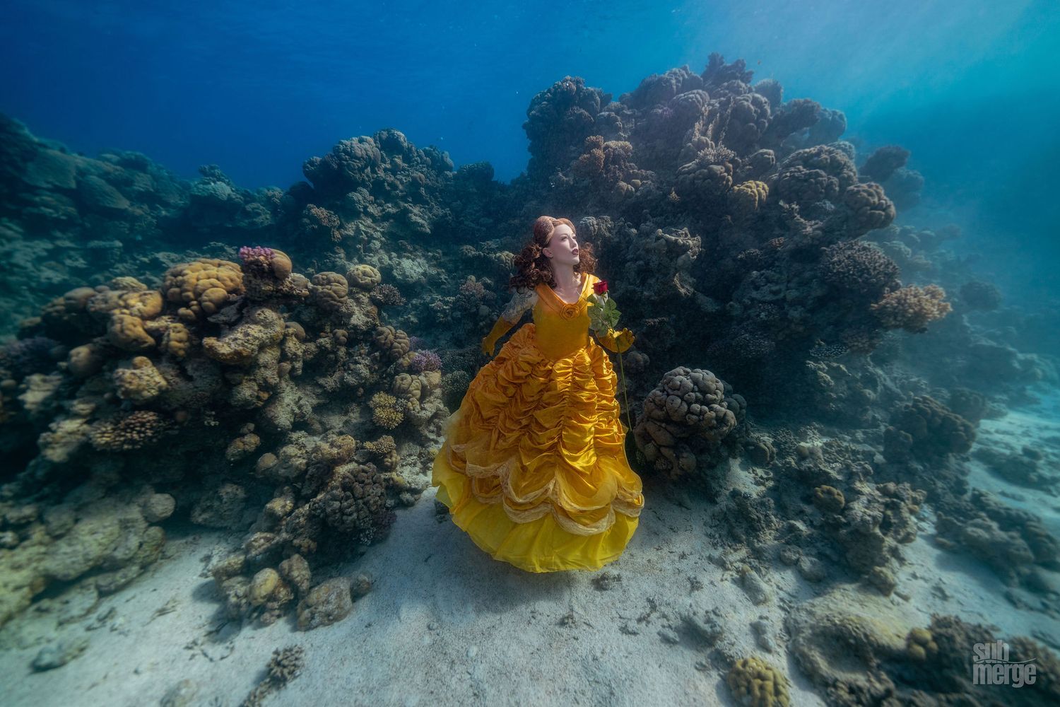 Underwater view of a colorful coral reef ecosystem with scattered rock formations in bright blue waters.
