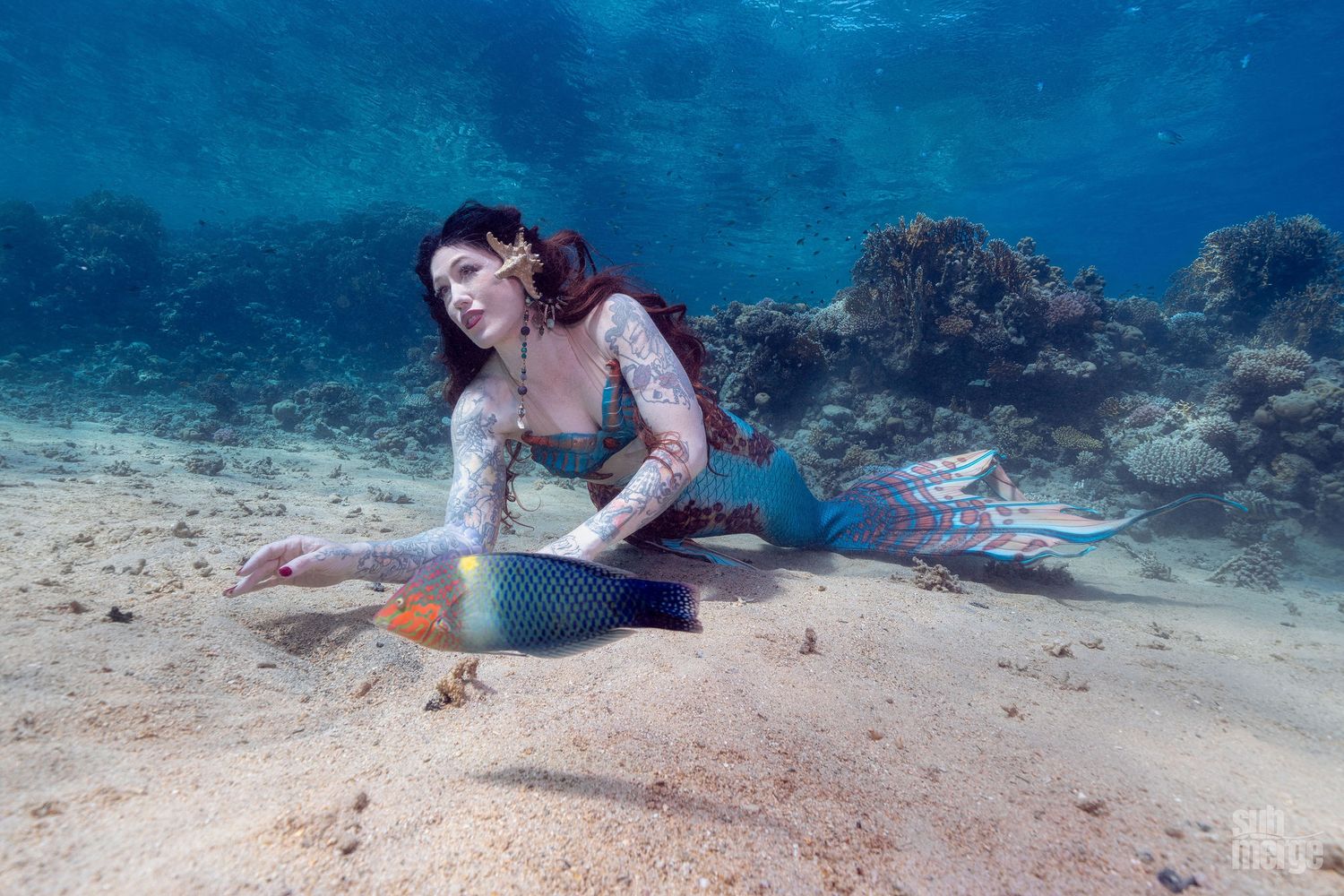 Scuba diver swims alongside a colorful Queen angelfish in pristine blue Caribbean waters.