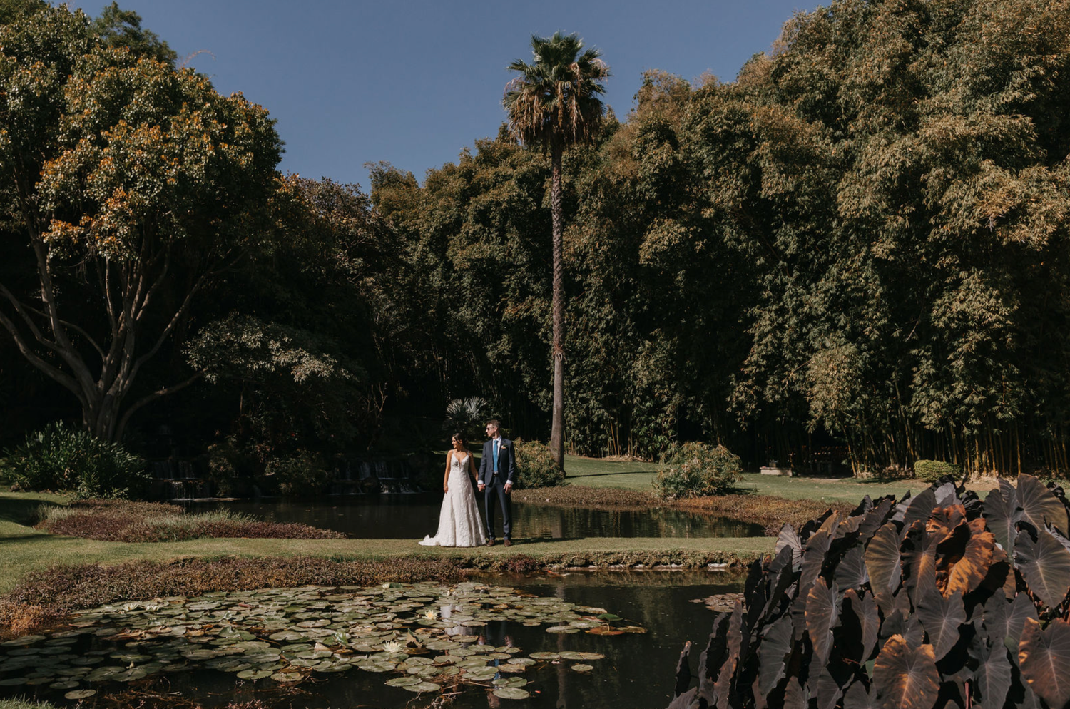 Wedding party walks through a scenic garden path surrounded by lush trees and greenery.