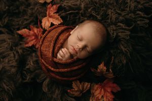 Sleeping baby wrapped in rust-colored knit blanket surrounded by autumn maple leaves on dark background.