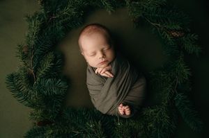A series of five artistic newborn photos featuring evergreen branches and soft lighting in a natural, moody setting.