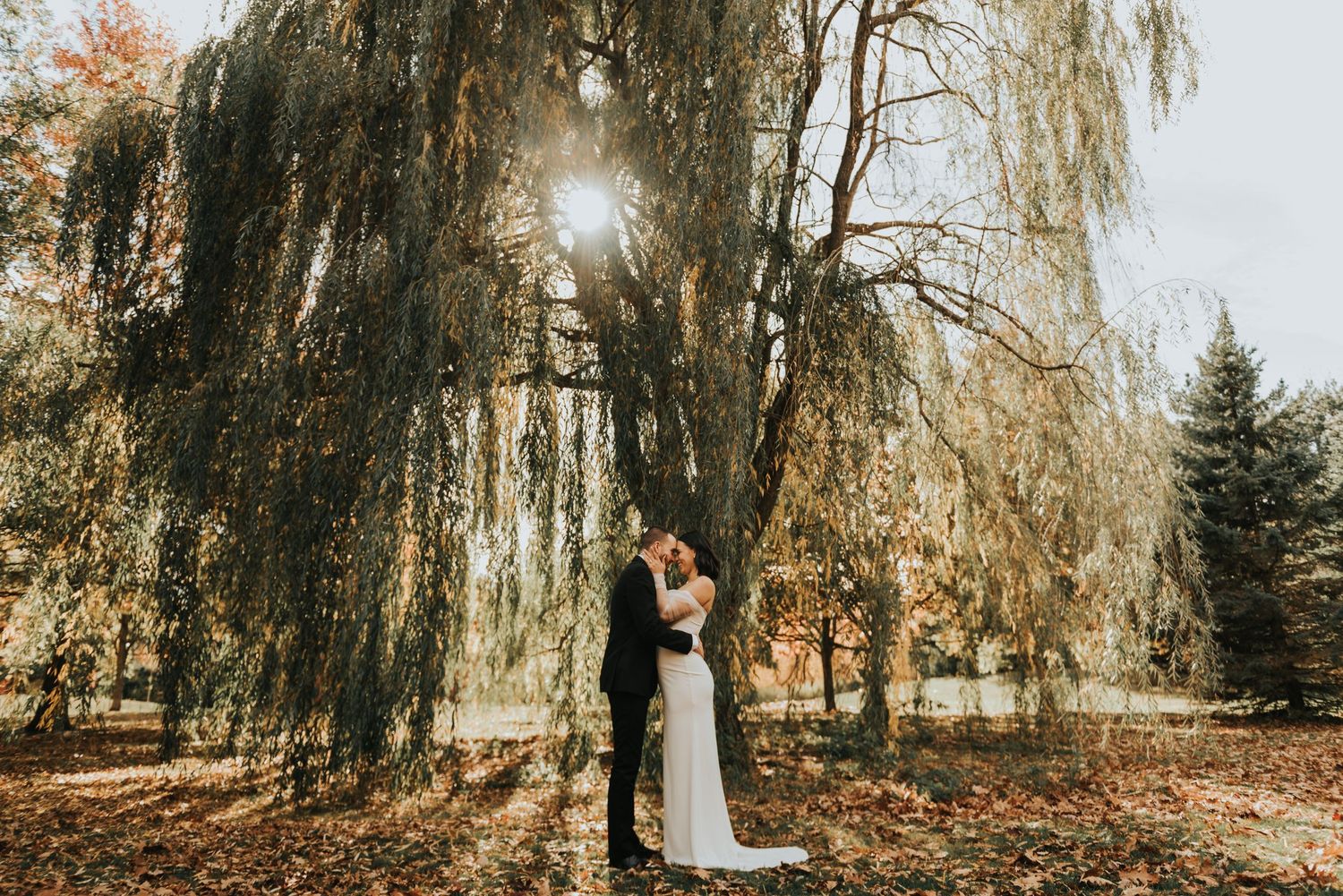 A romantic autumn wedding photoshoot under weeping willow trees with warm sunlight filtering through branches.