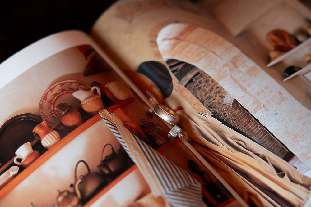 Close-up montage of violin details showing strings, bridge, and wooden body in warm lighting.