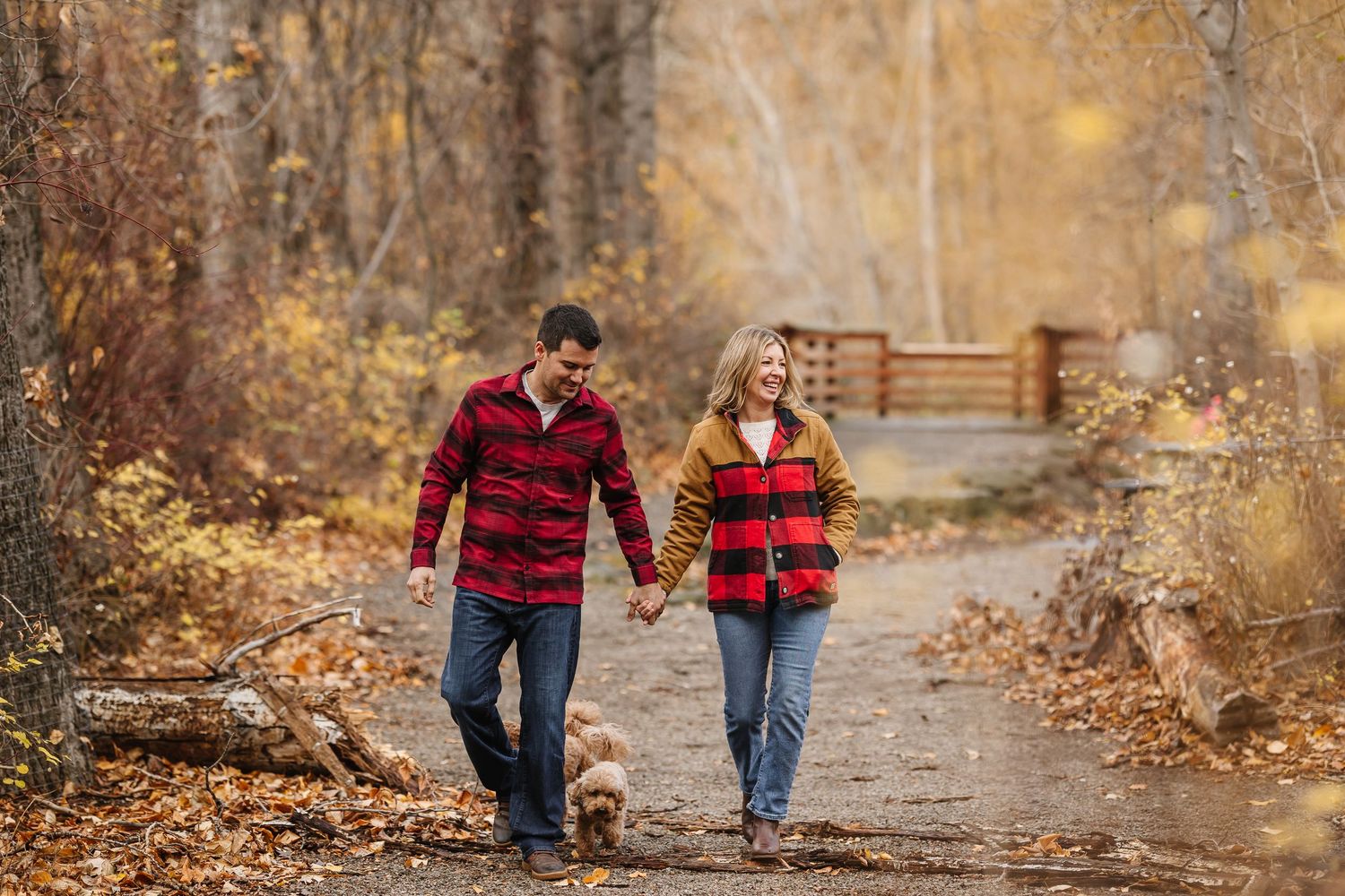 Two people in plaid shirts walk together holding hands on a leaf-covered autumn path through golden trees.