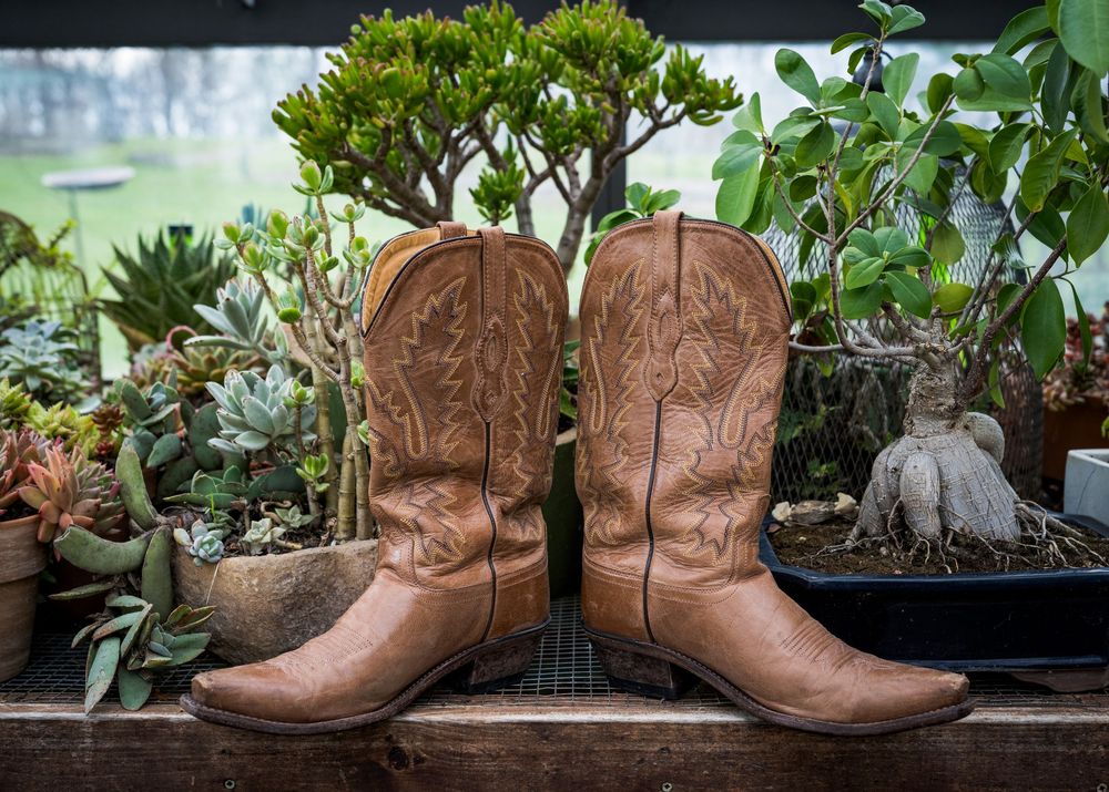 A pair of tan leather cowboy boots displayed among lush green succulent plants on a wooden shelf.